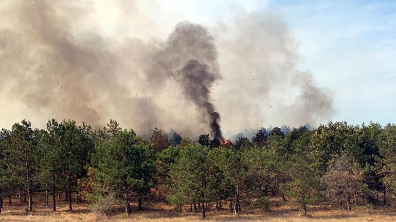 Çerkezköyde orman yangını kontrol altında