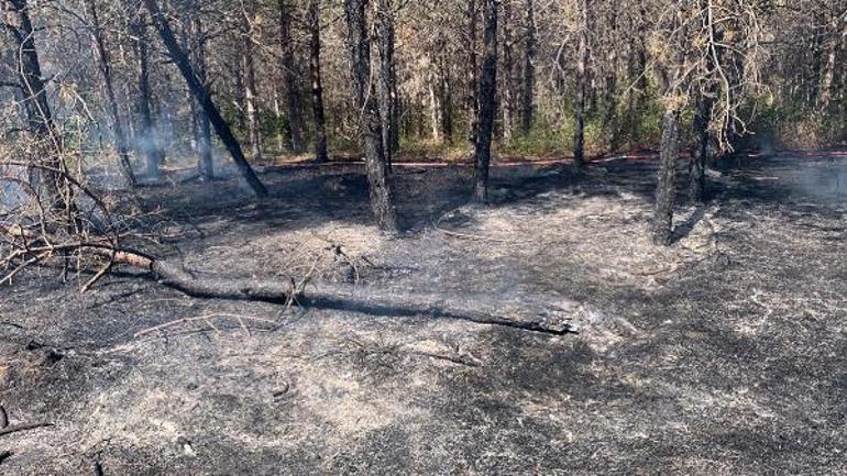Çerkezköyde orman yangını kontrol altında
