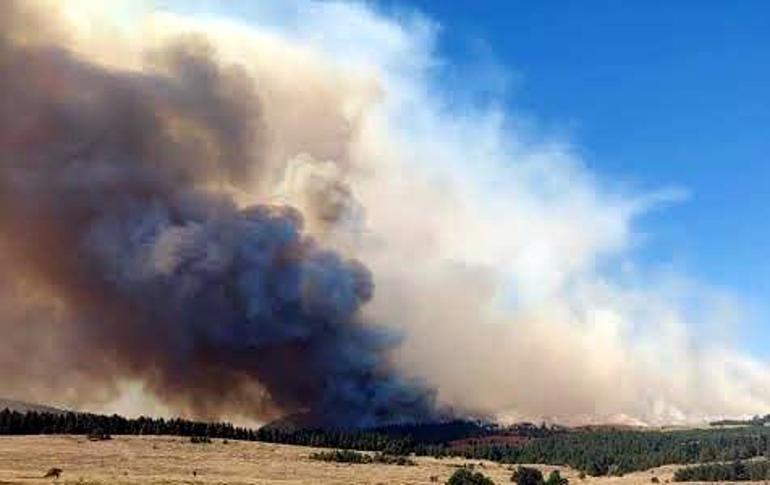 Bolu, İzmir ve Adanada orman yangını