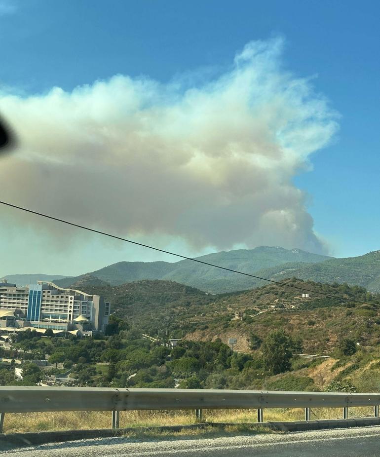 İzmir Mendereste orman yangını