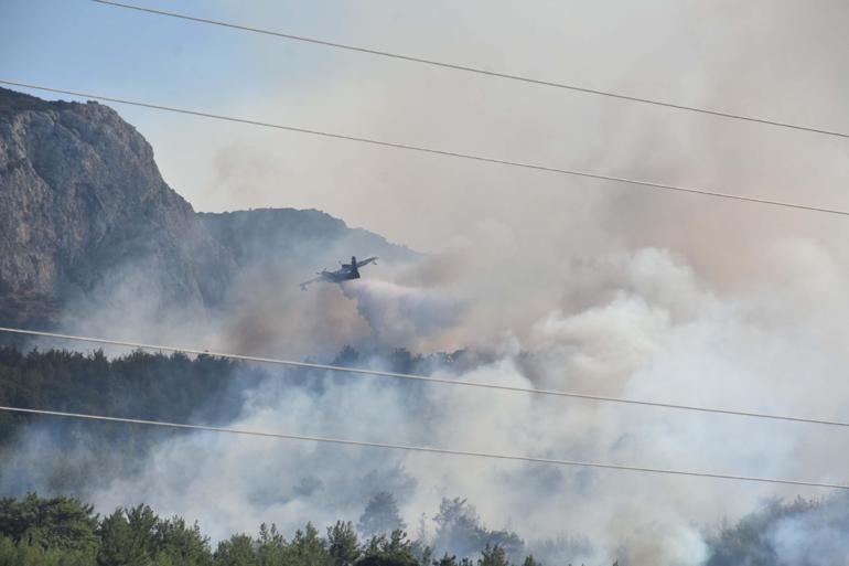 İzmir Mendereste orman yangını