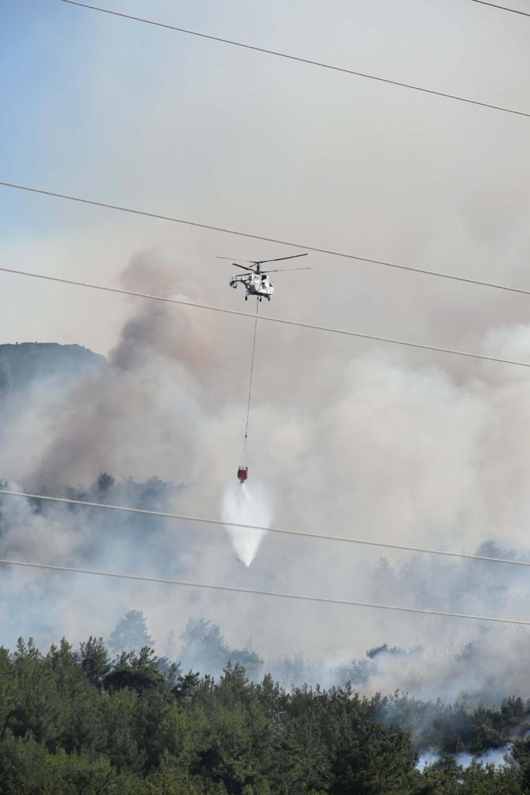 İzmir Mendereste orman yangını