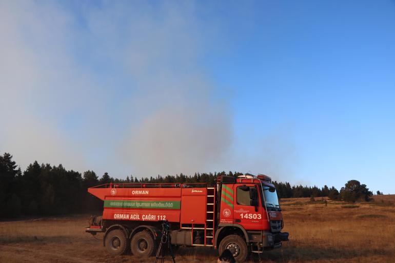 Bolu, İzmir ve Adanada orman yangını