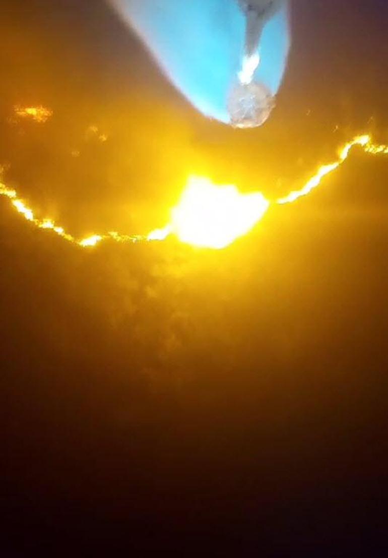 İzmir Mendereste orman yangını