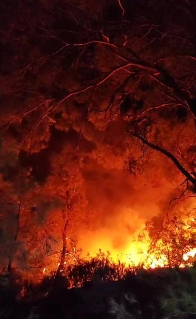 İzmir Mendereste orman yangını
