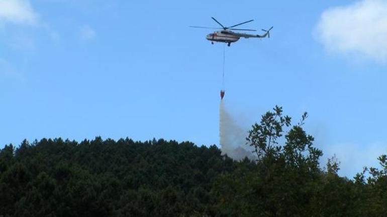 Sultanbeyli Aydos Ormanında yangın