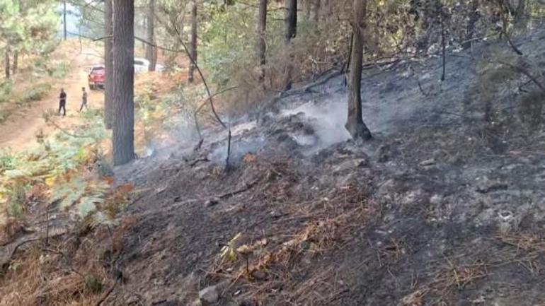 Sultanbeyli Aydos Ormanında yangın