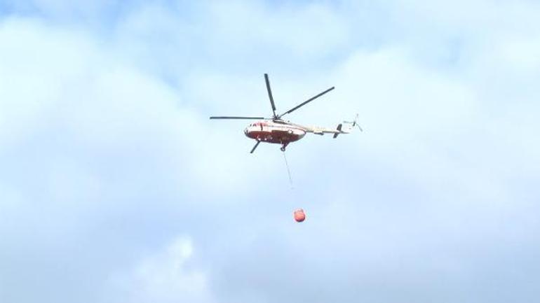 Sultanbeyli Aydos Ormanında yangın