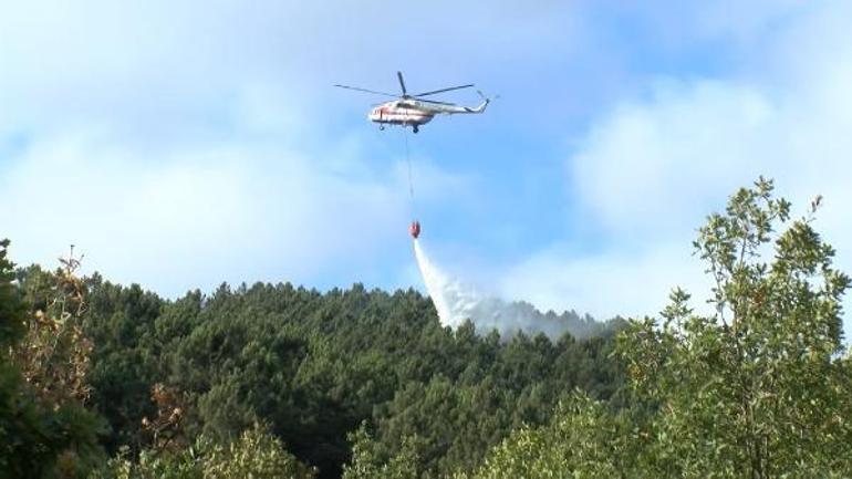 Sultanbeyli Aydos Ormanında yangın