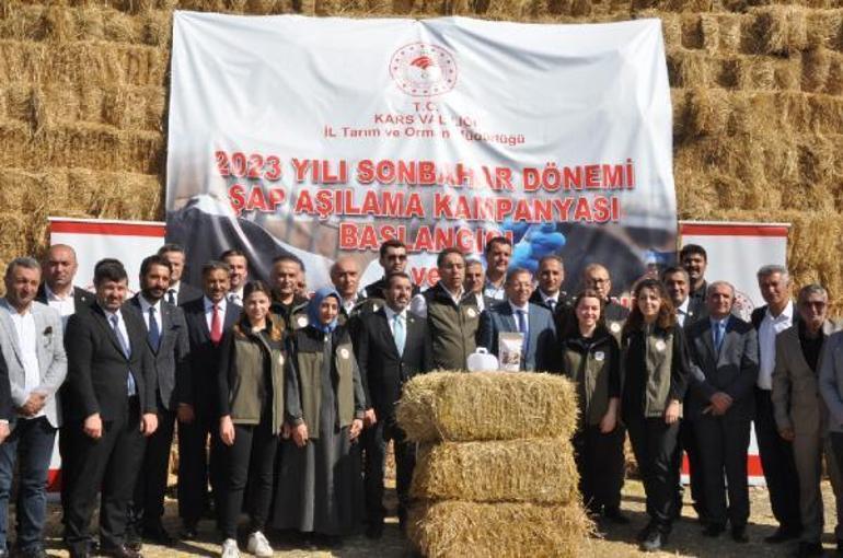 Buzağı ölümlerini engellemek için Karsta üreticilere ağız sütü dağıtıldı