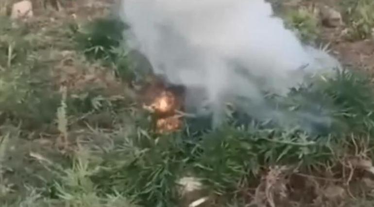 Bakan Yerlikaya: Diyarbakırda 2 ton 120 kilo esrar ile 13 milyon 514 bin 550 kök kenevir ele geçirildi