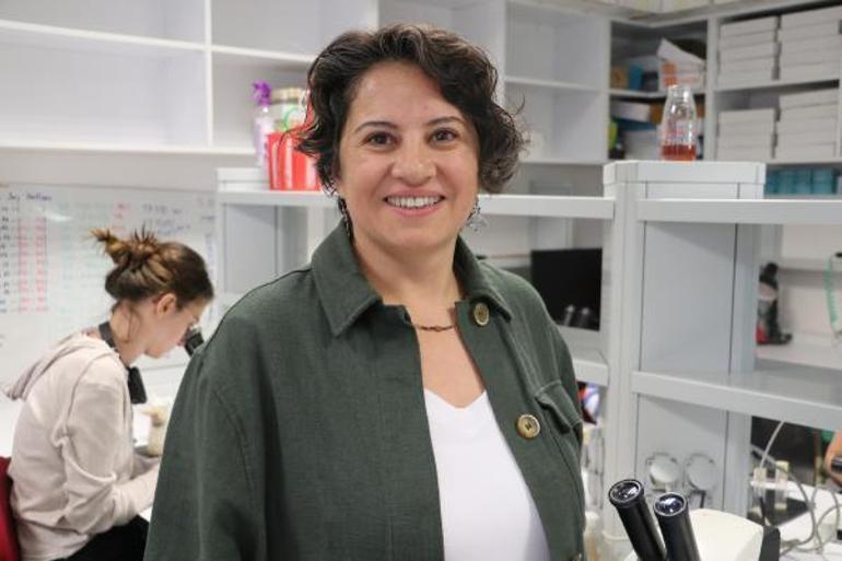 Risk altındaki canlıları iklim değişikliğinden koruyacak proje