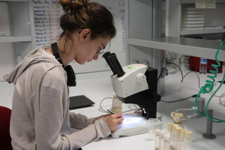 Risk altındaki canlıları iklim değişikliğinden koruyacak proje