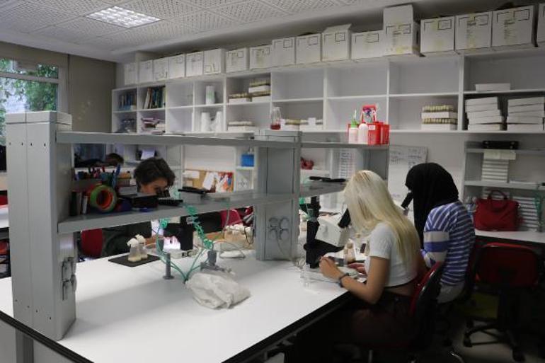 Risk altındaki canlıları iklim değişikliğinden koruyacak proje