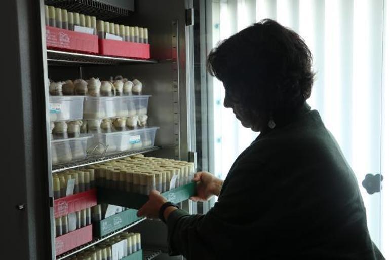 Risk altındaki canlıları iklim değişikliğinden koruyacak proje