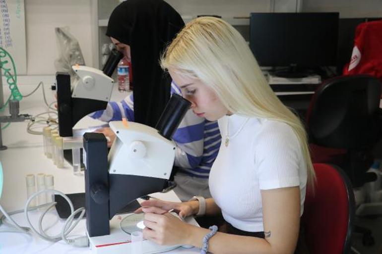 Risk altındaki canlıları iklim değişikliğinden koruyacak proje