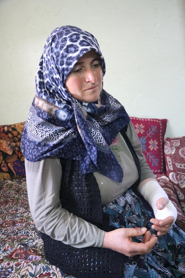 Köyde hayvanları otlatma kavgasında darbedildi