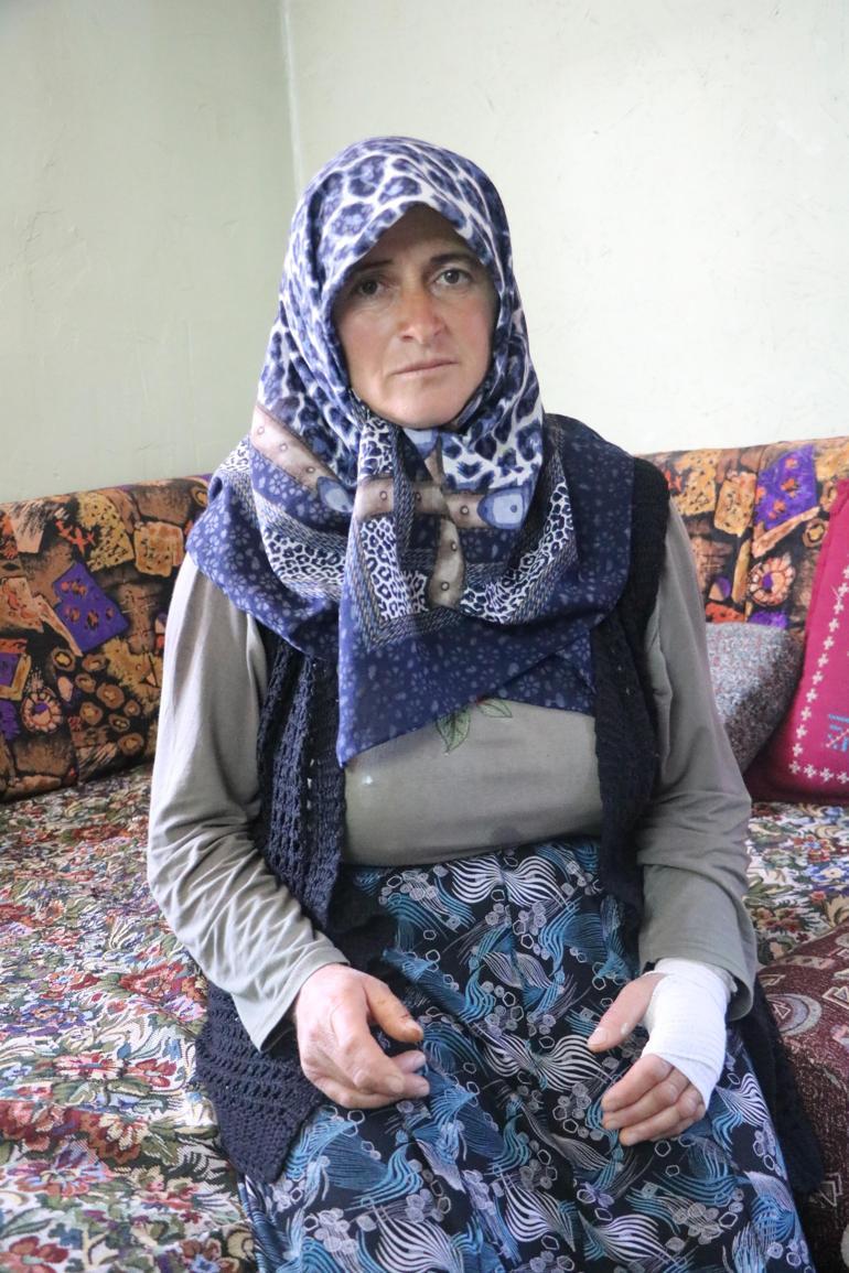 Köyde hayvanları otlatma kavgasında darbedildi