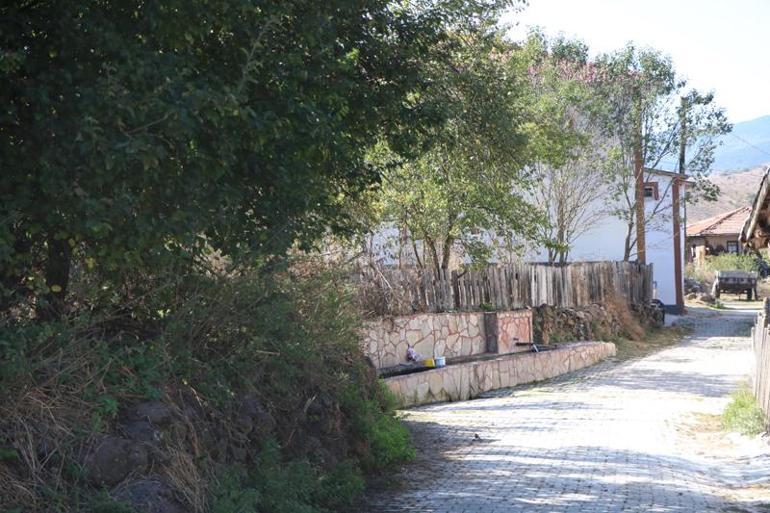 Köyde hayvanları otlatma kavgasında darbedildi