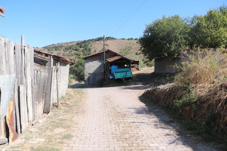 Köyde hayvanları otlatma kavgasında darbedildi