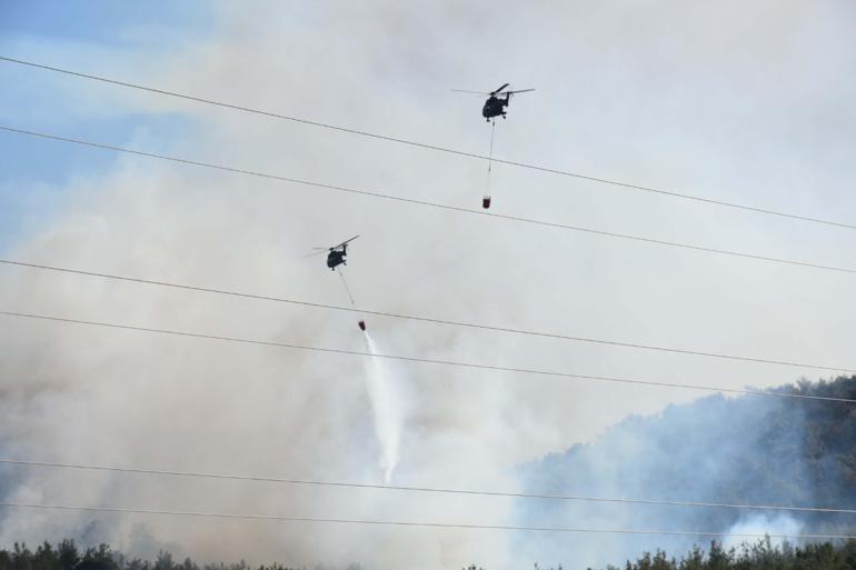 Düşen helikopterdeki 3 kişinin öldüğü Menderesteki orman yangınında 260 hektar alan etkilendi