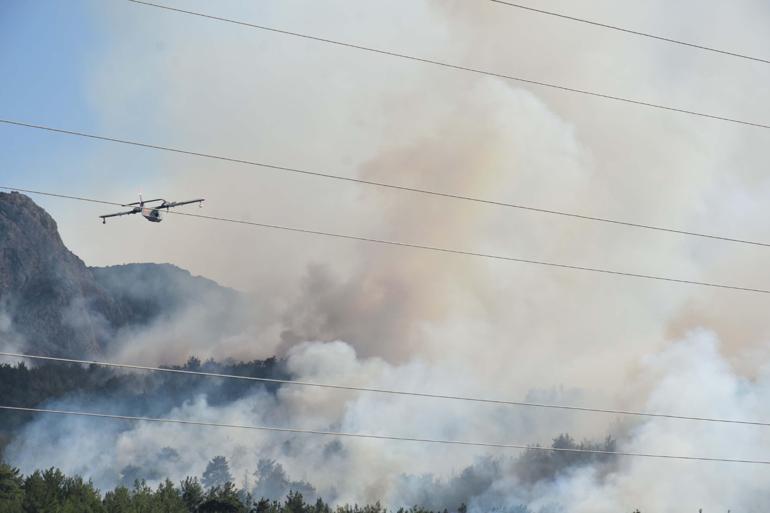 Düşen helikopterdeki 3 kişinin öldüğü Menderesteki orman yangınında 260 hektar alan etkilendi