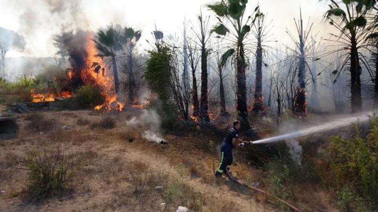 Antalyada teknelere ve ormana sıçrayan ot yangını kontrol altına alındı