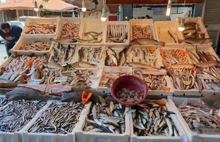 Akdenizde av yasağı kalktı, balık fiyatları yüzde 80 düştü