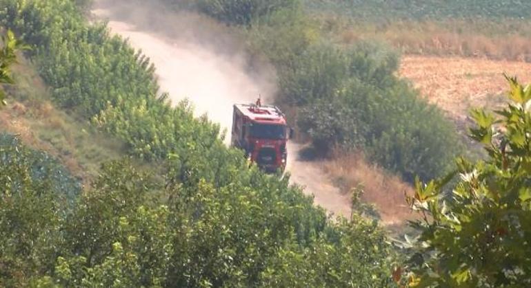 UNESCO listesindeki Hevsel Bahçelerinde anız yangını