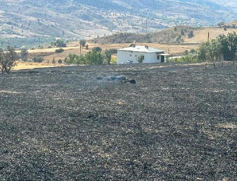 Sivasta çıkan yangında 2 bin balya saman yandı