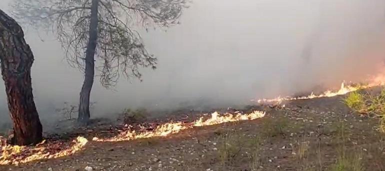 Tokattaki orman yangını 2 saatte kontrol altına alındı