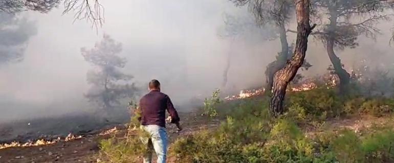 Tokattaki orman yangını 2 saatte kontrol altına alındı