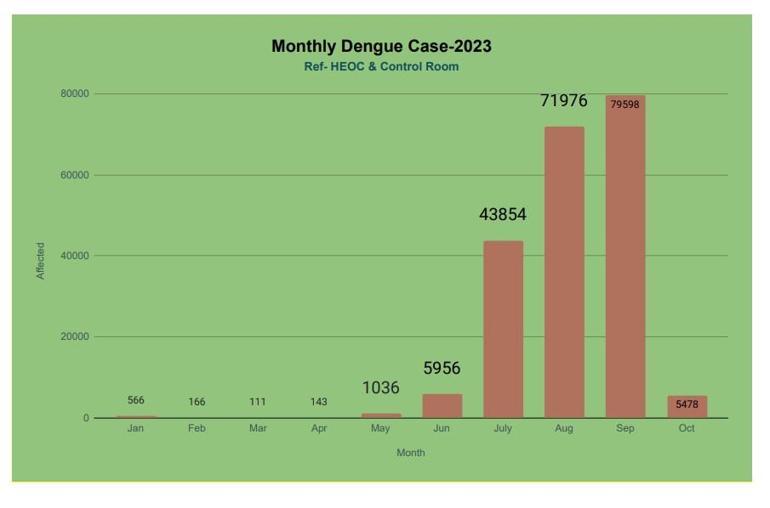 Bangladeş’te dang humması salgını bu yıl 1017 can aldı