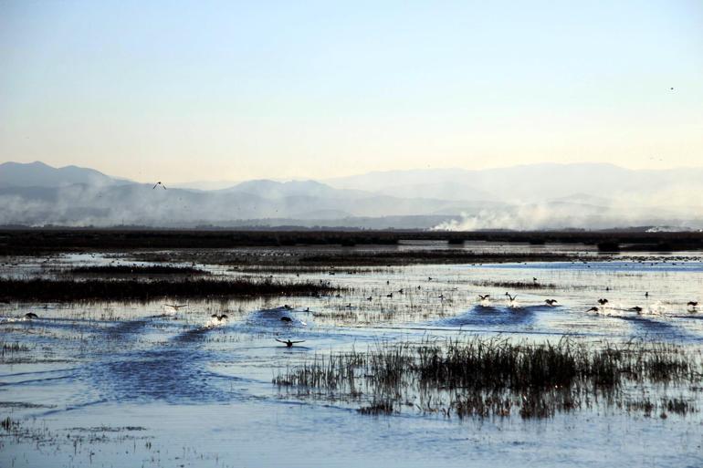 Kızılırmak Deltası Kuş Cenneti, Türkiyenin doğal zenginliğinin kalbi