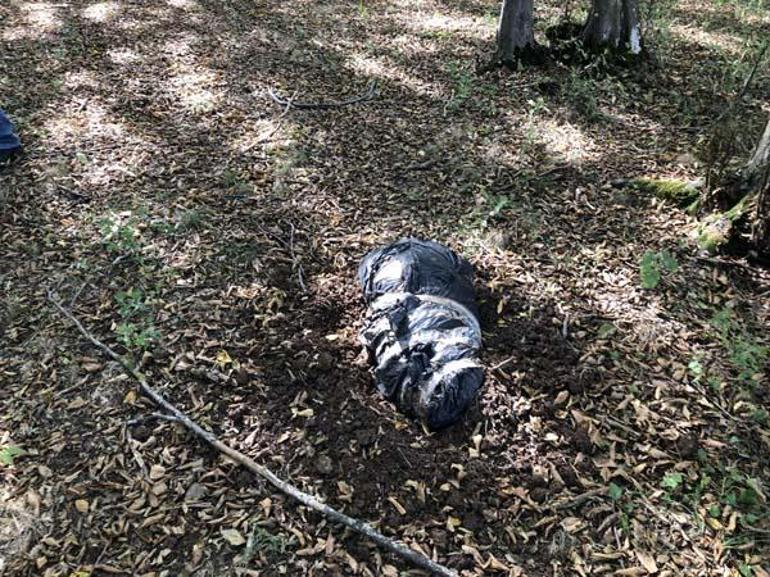 Koli bantlarıyla bağlanmış poşette ölü köpek bulundu