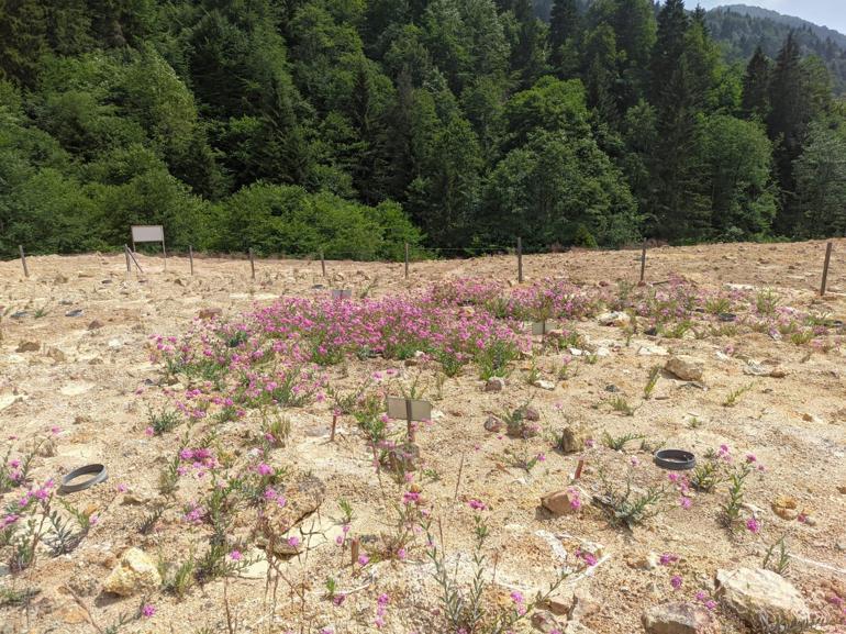 Organik atıklar maden sahalarında çiçek açacak