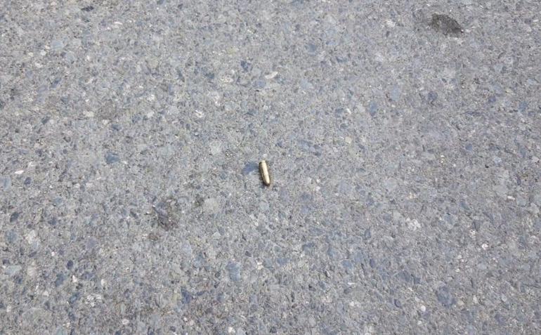 Kamyonete silahlı saldırıda yaralandı