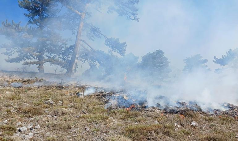 Kütahyada orman yangını; 1 hektar alan zarar gördü