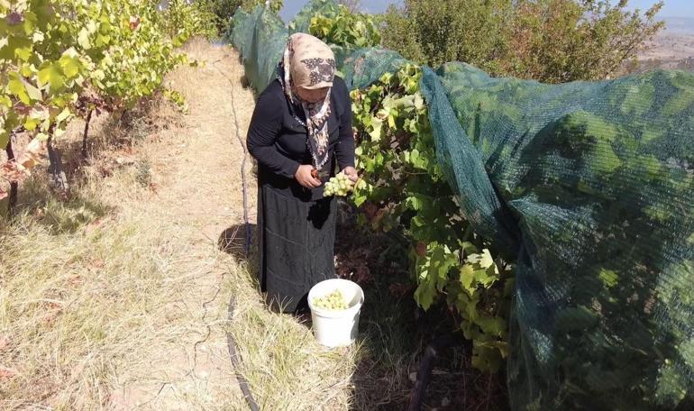 Kadın çiftçilere 21 yılda 15 milyar lira destek