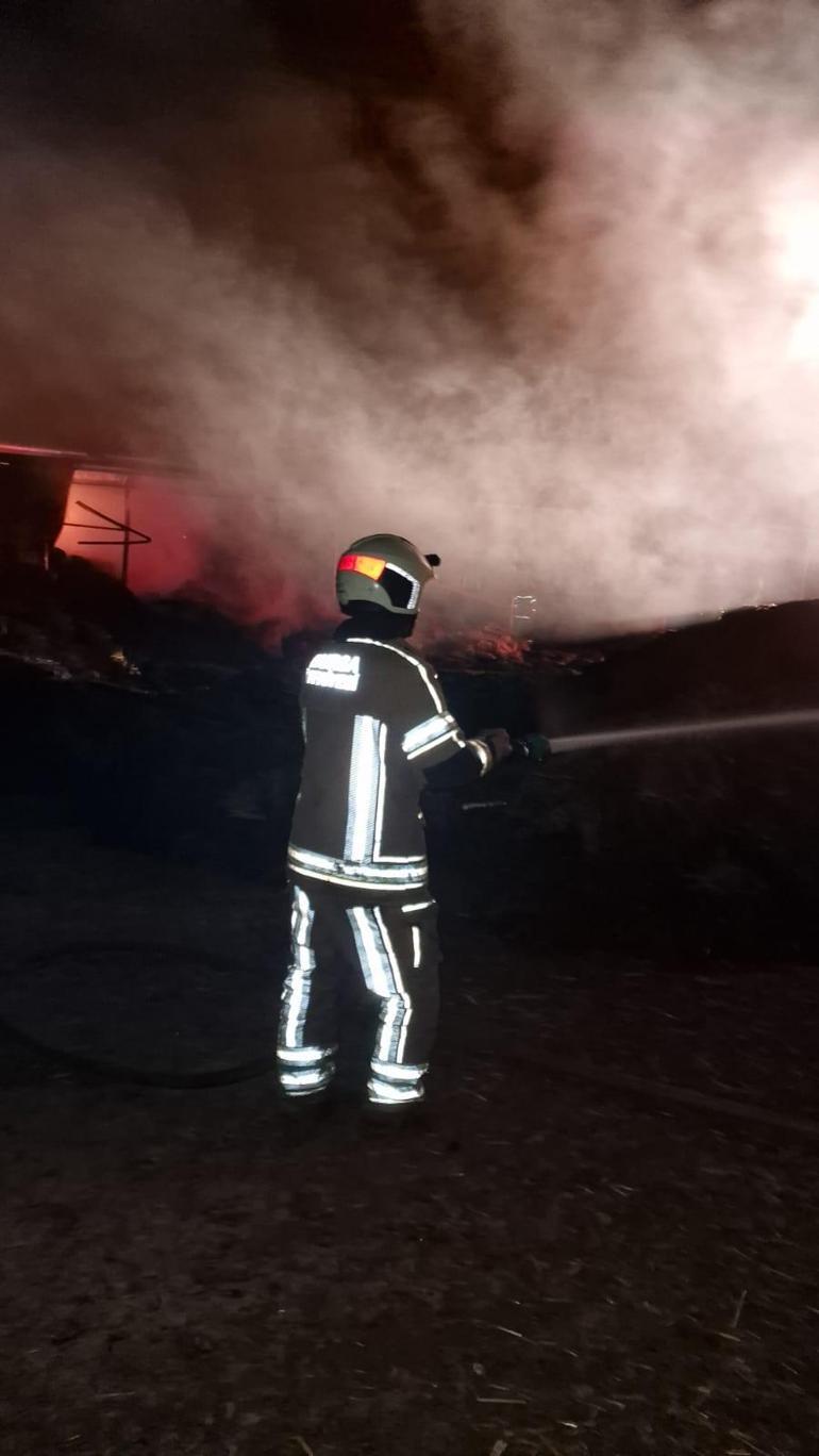 Sahibinin tadilat yaptığı ağılda yangın çıktı; 44 küçükbaş öldü