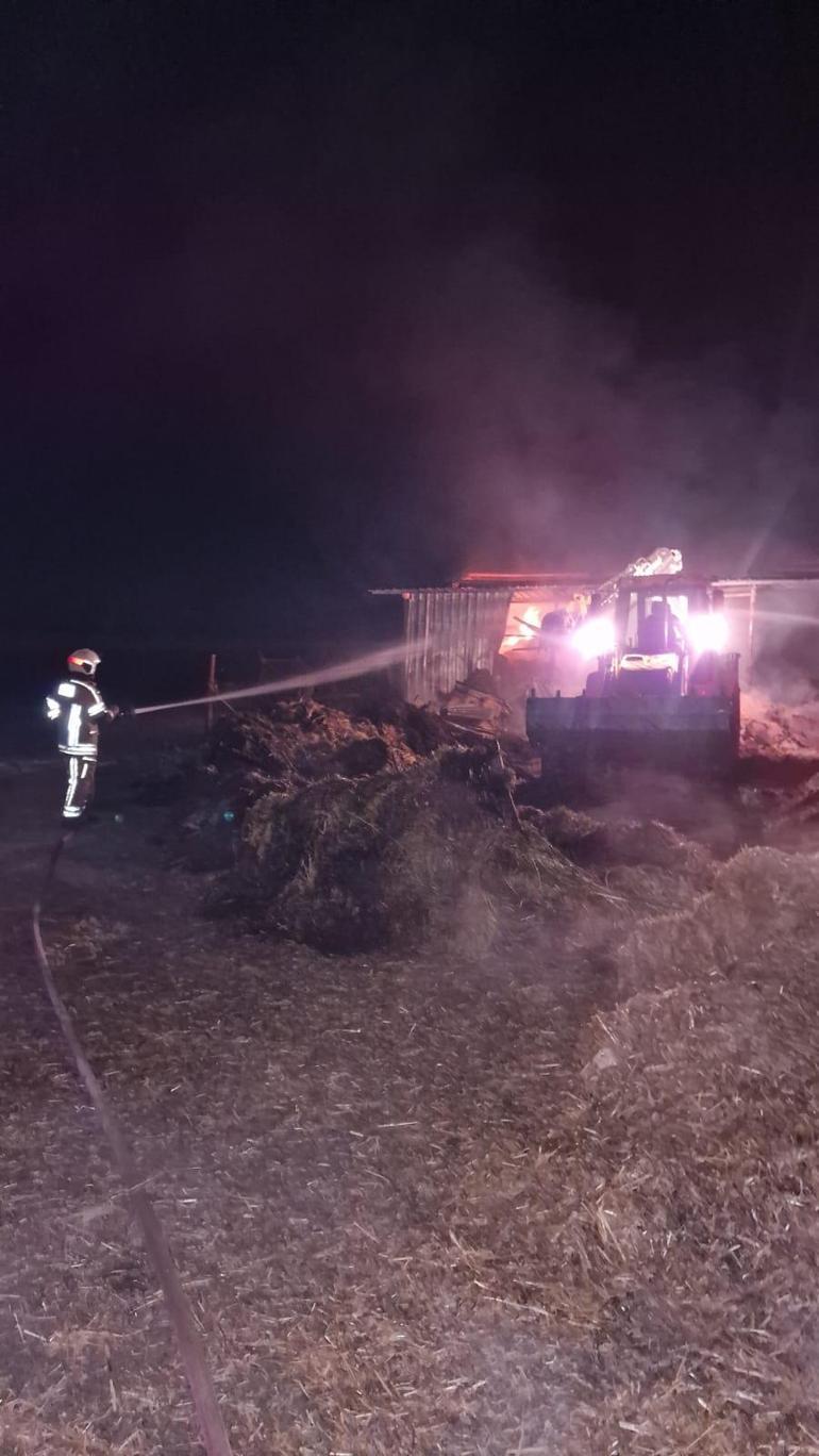 Sahibinin tadilat yaptığı ağılda yangın çıktı; 44 küçükbaş öldü