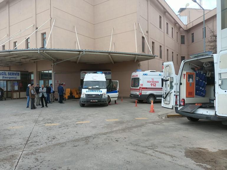 Ormanda odun keserken vuruldu