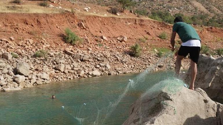 En son 11 yıl önce balıkçı tezgahında görülmüştü; leopar sazanı bulmak için Siirt’e geldiler