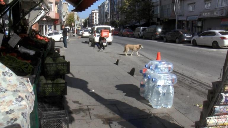 Sultangazide kargonuz var diyerek sokağa çağrılan kadına silahlı saldırı