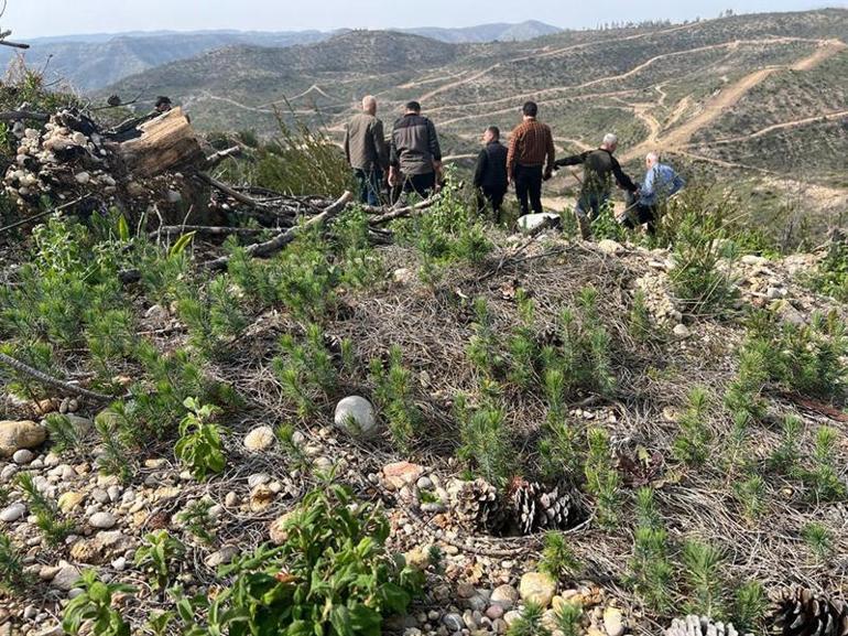 Prof. Dr. Neyişçi: 15 yıl sonra yeniden yanacak ormanlar kuruyoruz