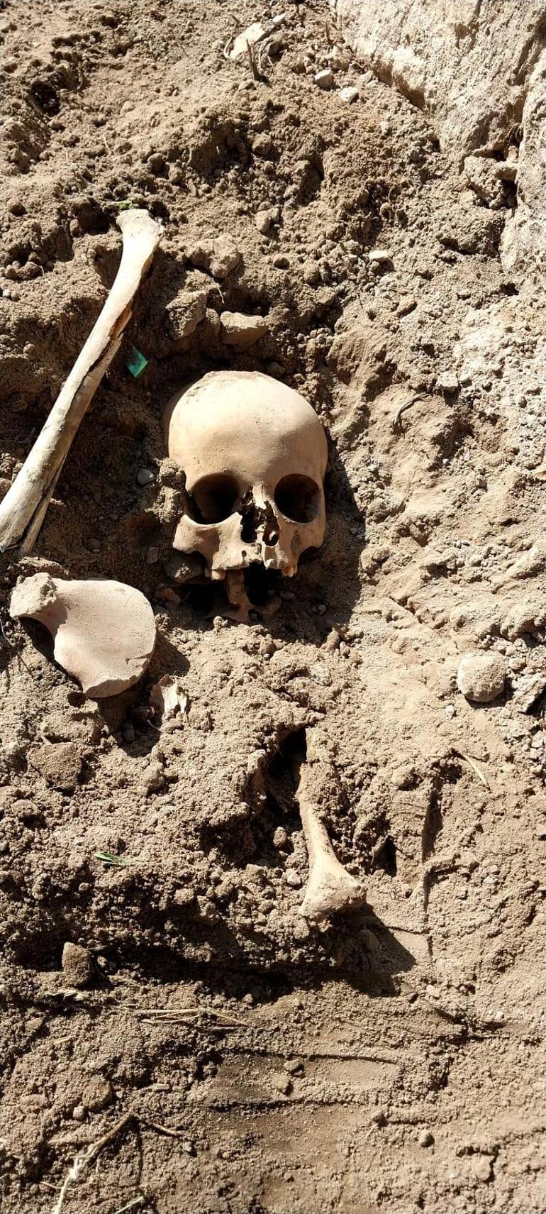 Okul bahçesinde insan kemikleri bulundu