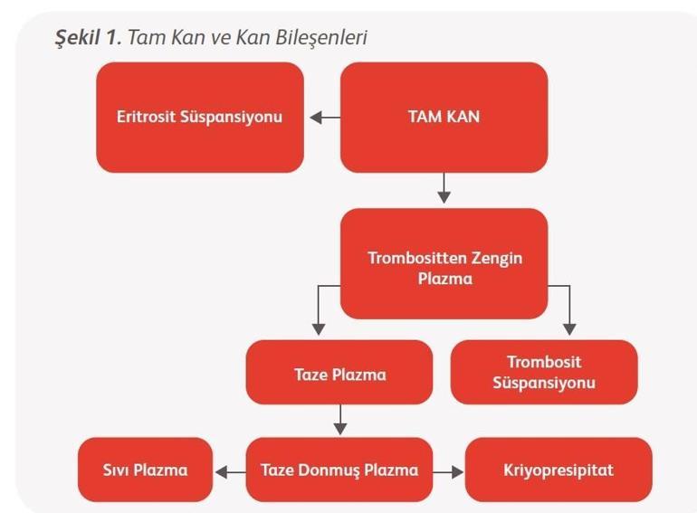 Yeni nesil tedavilerle kan talebi yüzde 25 azaltılabilir