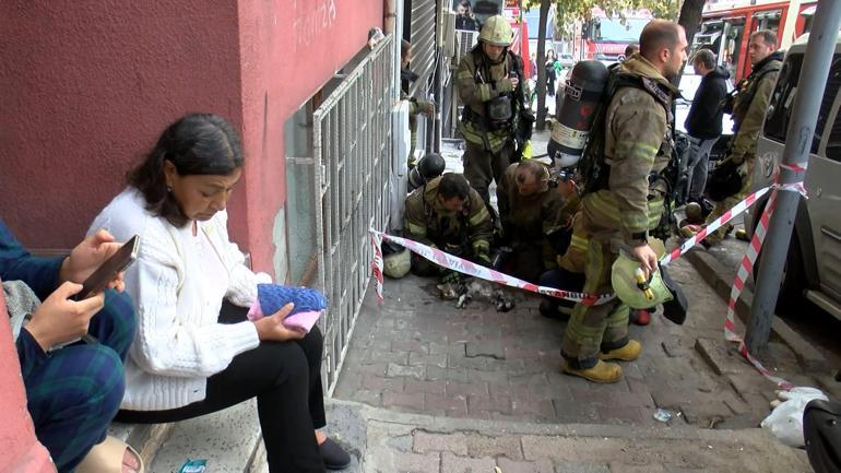 Şişlide yangında dumandan etkilenen kedi kalp masajıyla kurtarıldı