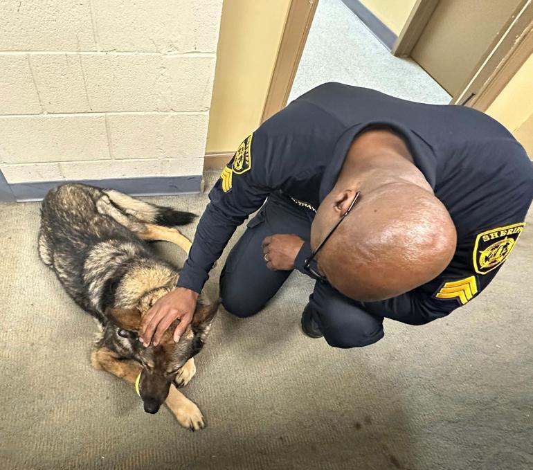 Kanser hastası K9 köpeği, polislerin selamlama kıtasıyla uğurlandı