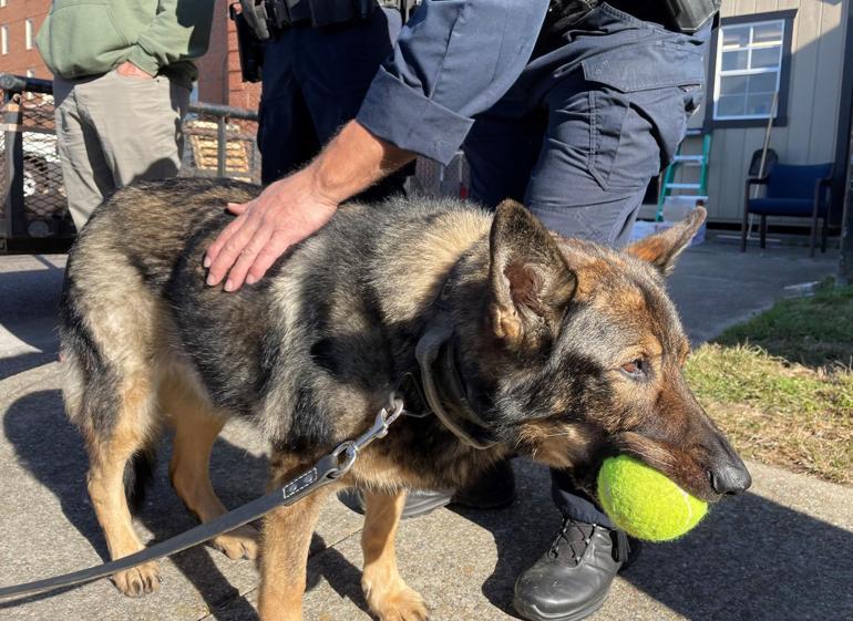 Kanser hastası K9 köpeği, polislerin selamlama kıtasıyla uğurlandı